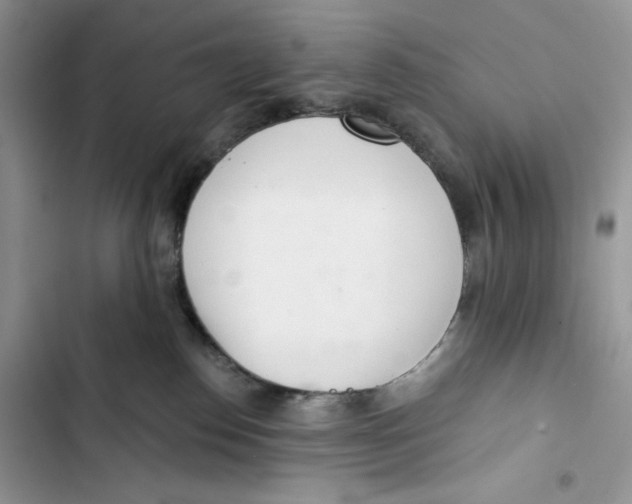 X0000103400186200810031232