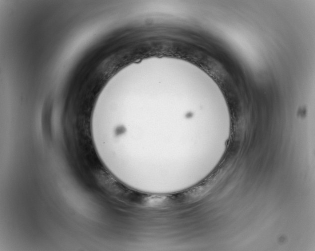 X0000103400189200810031232