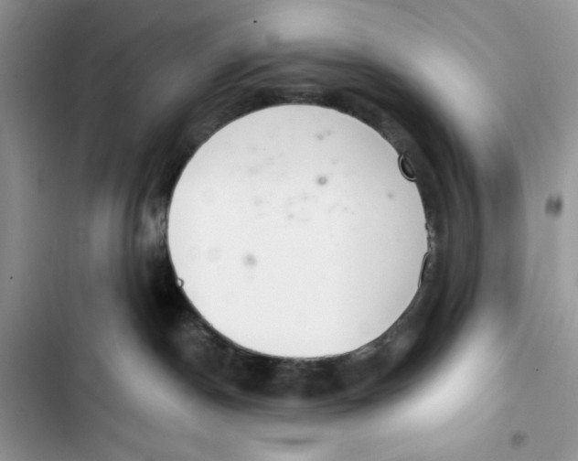 X0000103400190200810031232