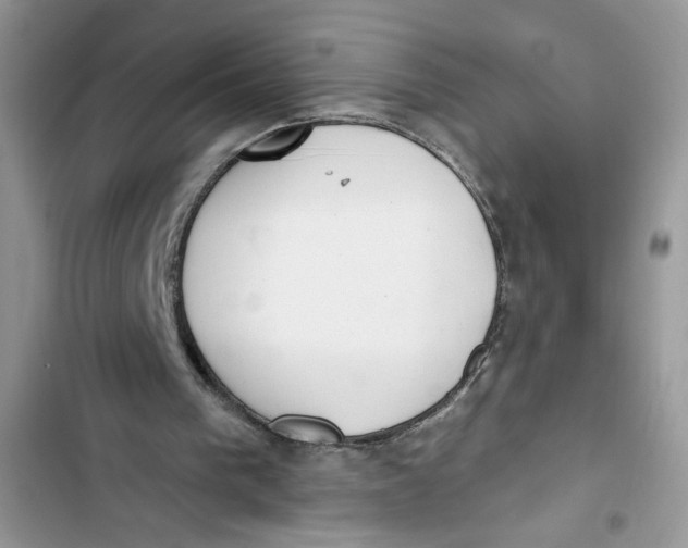 X0000103400193200810031232