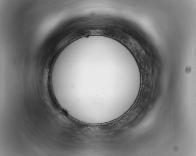 X0000103400194200810031232