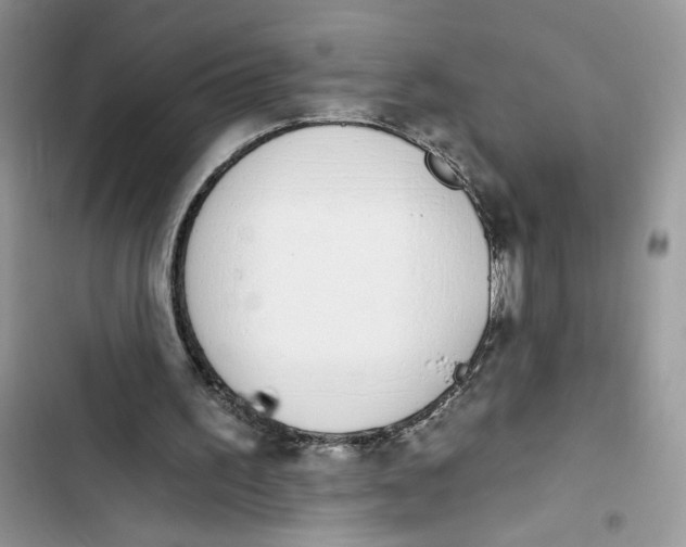 X0000103400195200810031232