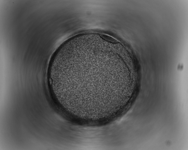 X0000103400196200810031232