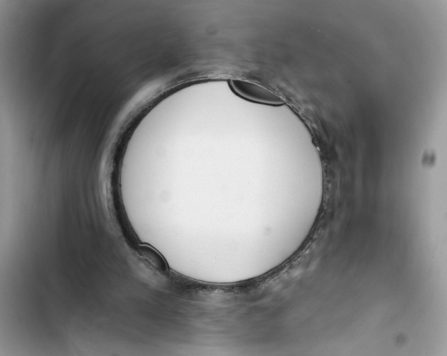 X0000103400197200810031232