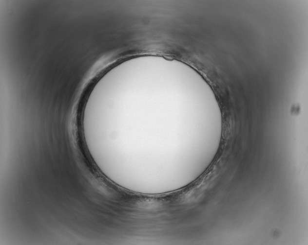 X0000103400198200810031232