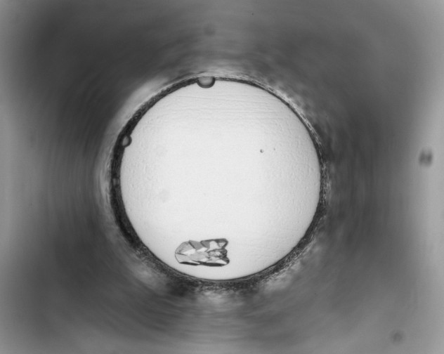 X0000103400199200810031232