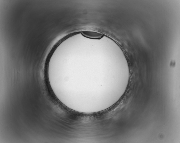 X0000103400200200810031232