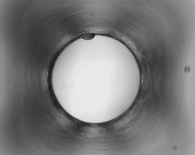 X0000103400201200810031231