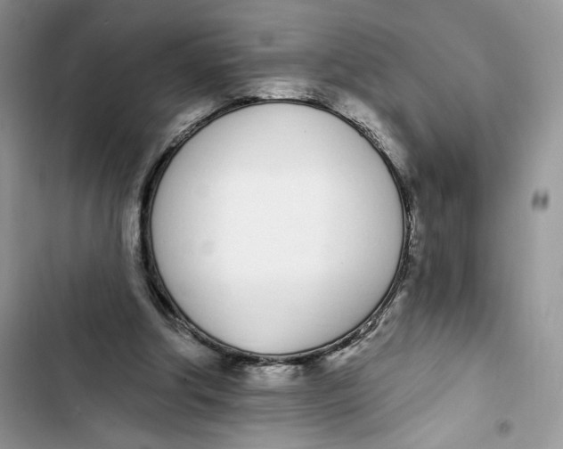 X0000103400202200810031231