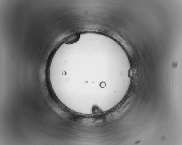 X0000103400203200810031231