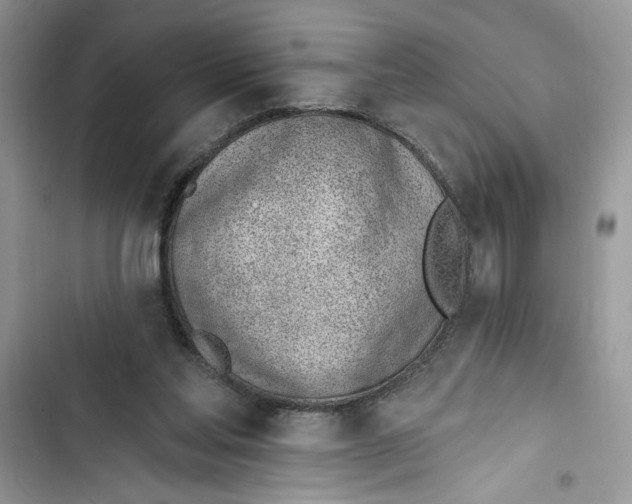 X0000103400205200810031231