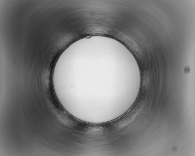 X0000103400206200810031231