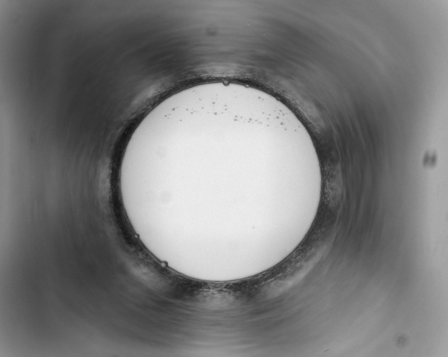 X0000103400207200810031231