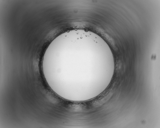 X0000103400209200810031231