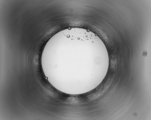 X0000103400211200810031231