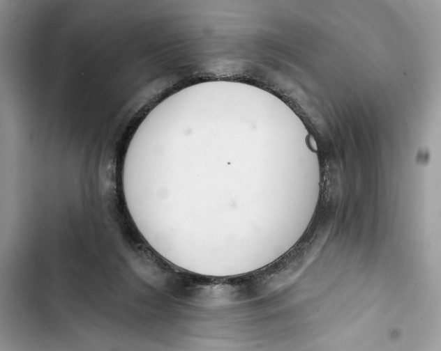 X0000103400212200810031231