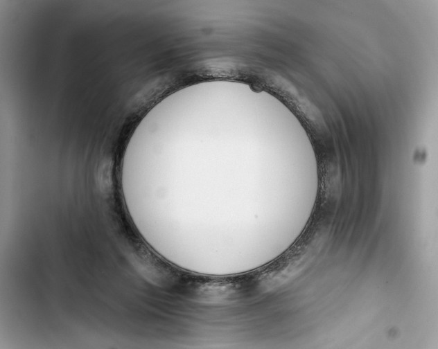 X0000103400213200810031231