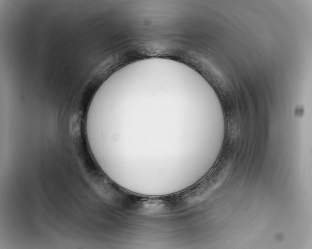 X0000103400214200810031231