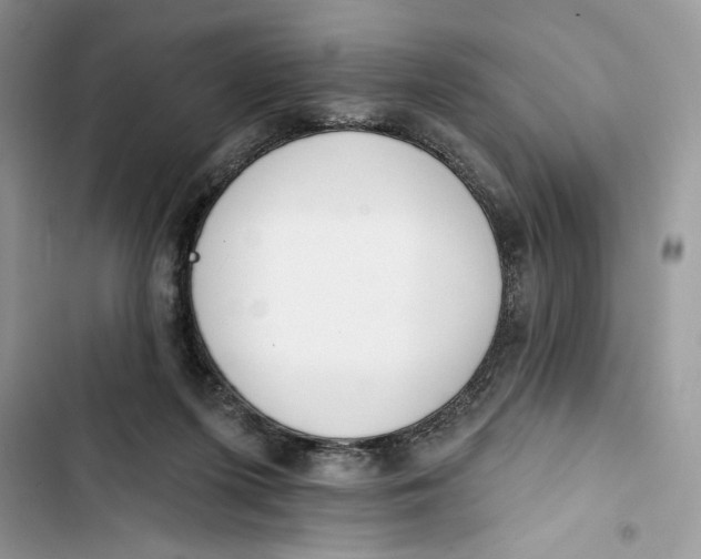 X0000103400215200810031231