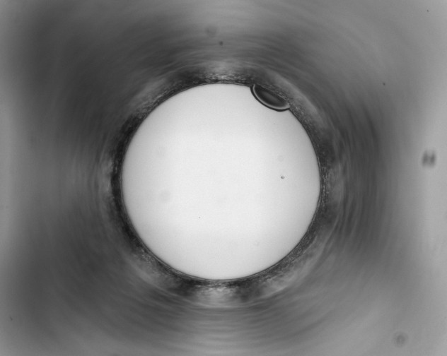 X0000103400217200810031231