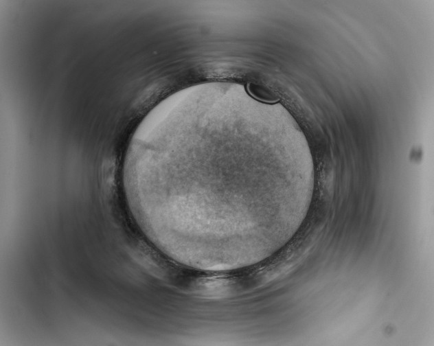 X0000103400219200810031231