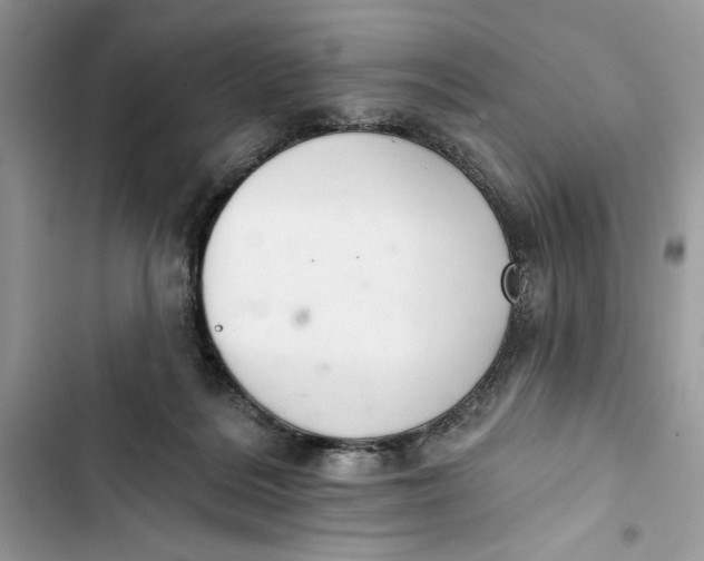 X0000103400220200810031231