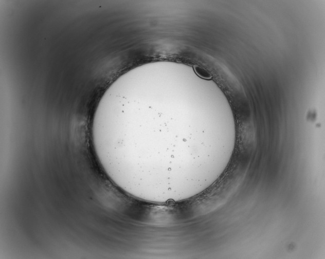 X0000103400222200810031231