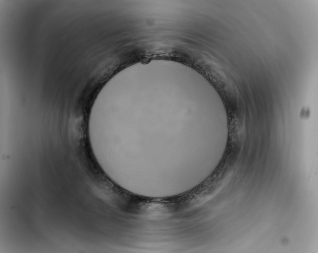 X0000103400224200810031231