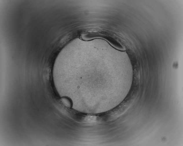 X0000103400227200810031231