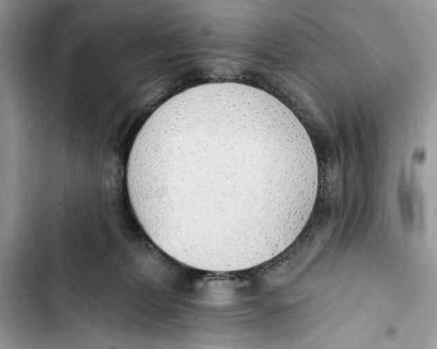 X0000103400228200810031231