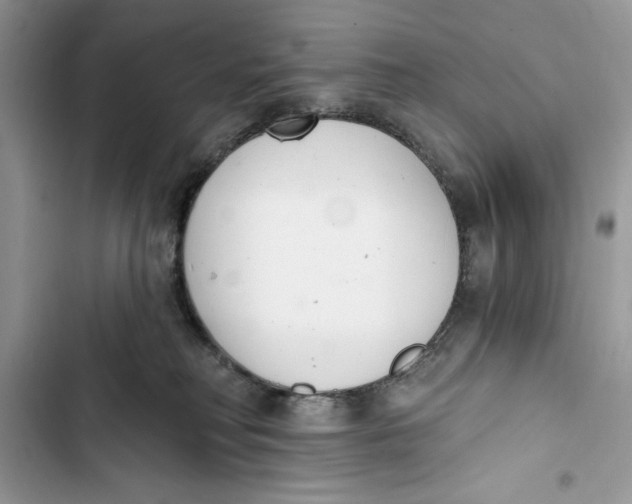 X0000103400230200810031231