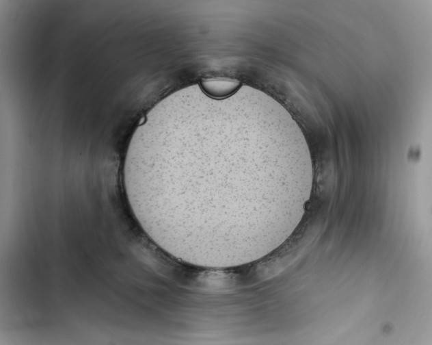 X0000103400231200810031231