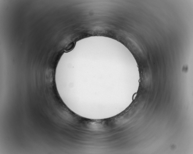 X0000103400232200810031231