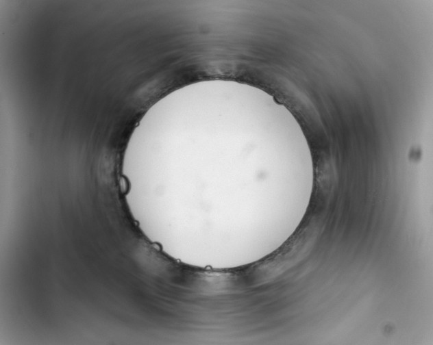 X0000103400233200810031231