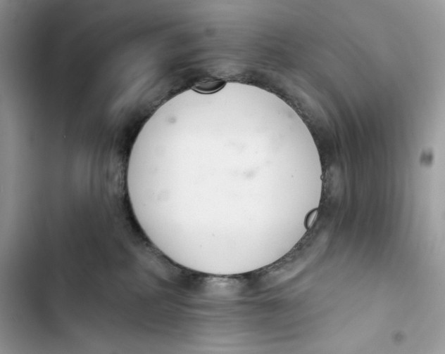 X0000103400234200810031231