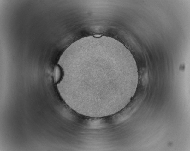 X0000103400235200810031231