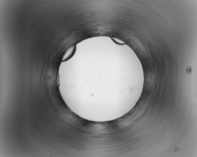 X0000103400236200810031231