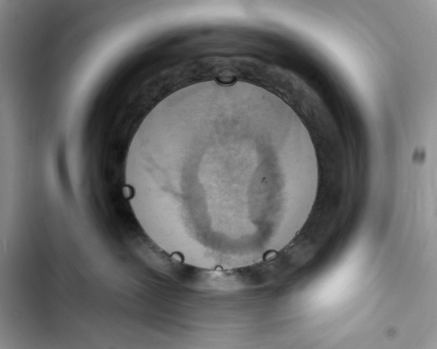 X0000103400239200810031231