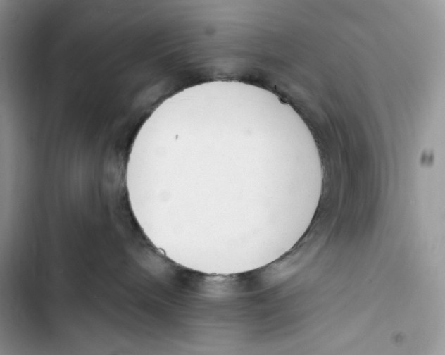 X0000103400240200810031231