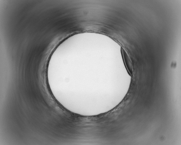 X0000103400241200810031230