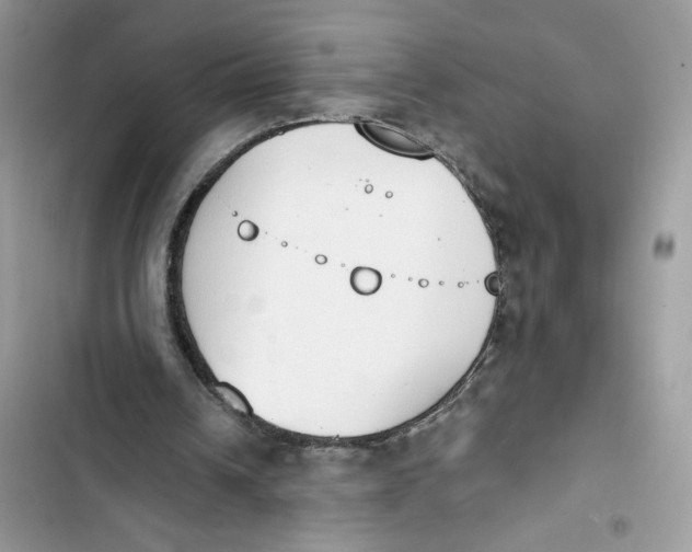 X0000103400242200810031230