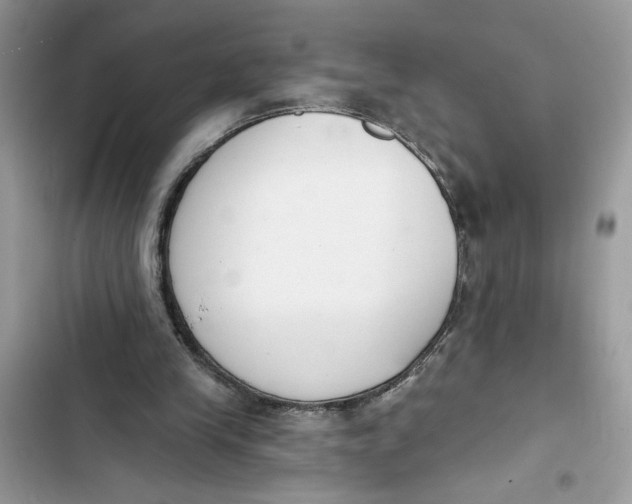 X0000103400245200810031230