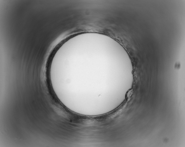 X0000103400246200810031230