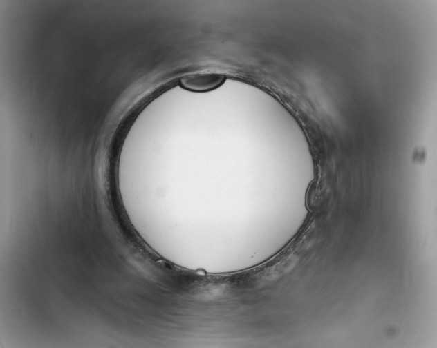 X0000103400247200810031230