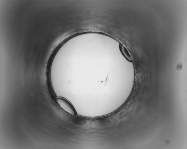 X0000103400248200810031230