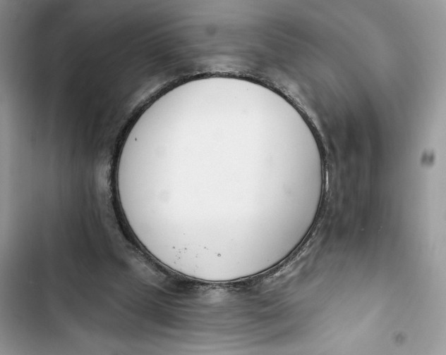 X0000103400249200810031230