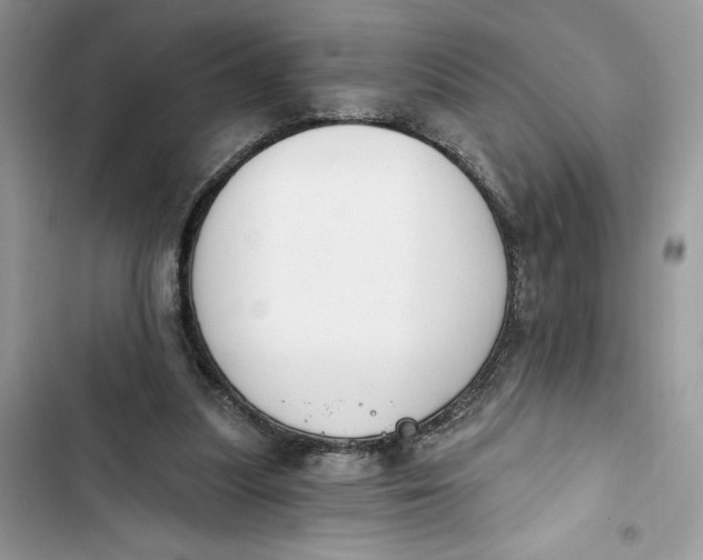 X0000103400251200810031230