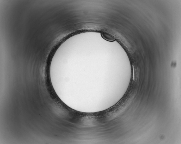 X0000103400252200810031230