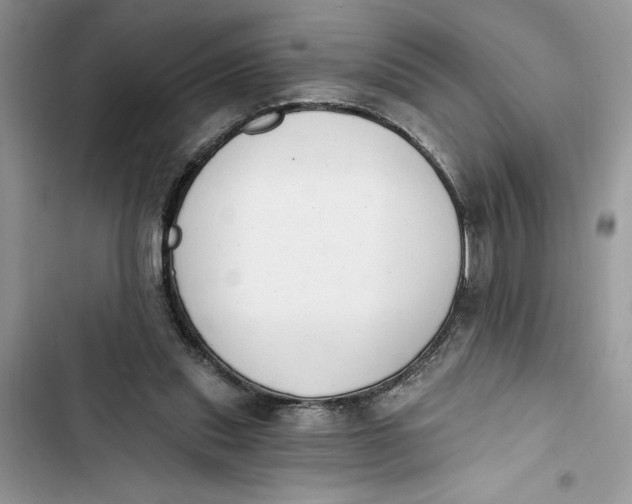 X0000103400253200810031230