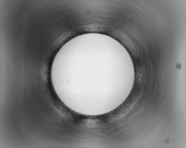 X0000103400255200810031230